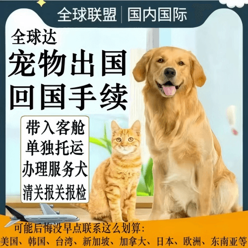 甘南州宠物托运到柬埔寨宠物入境规定和要求
