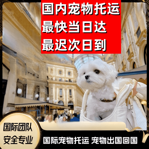 甘南州到澳大利亚（澳洲）宠物入境规定和要求