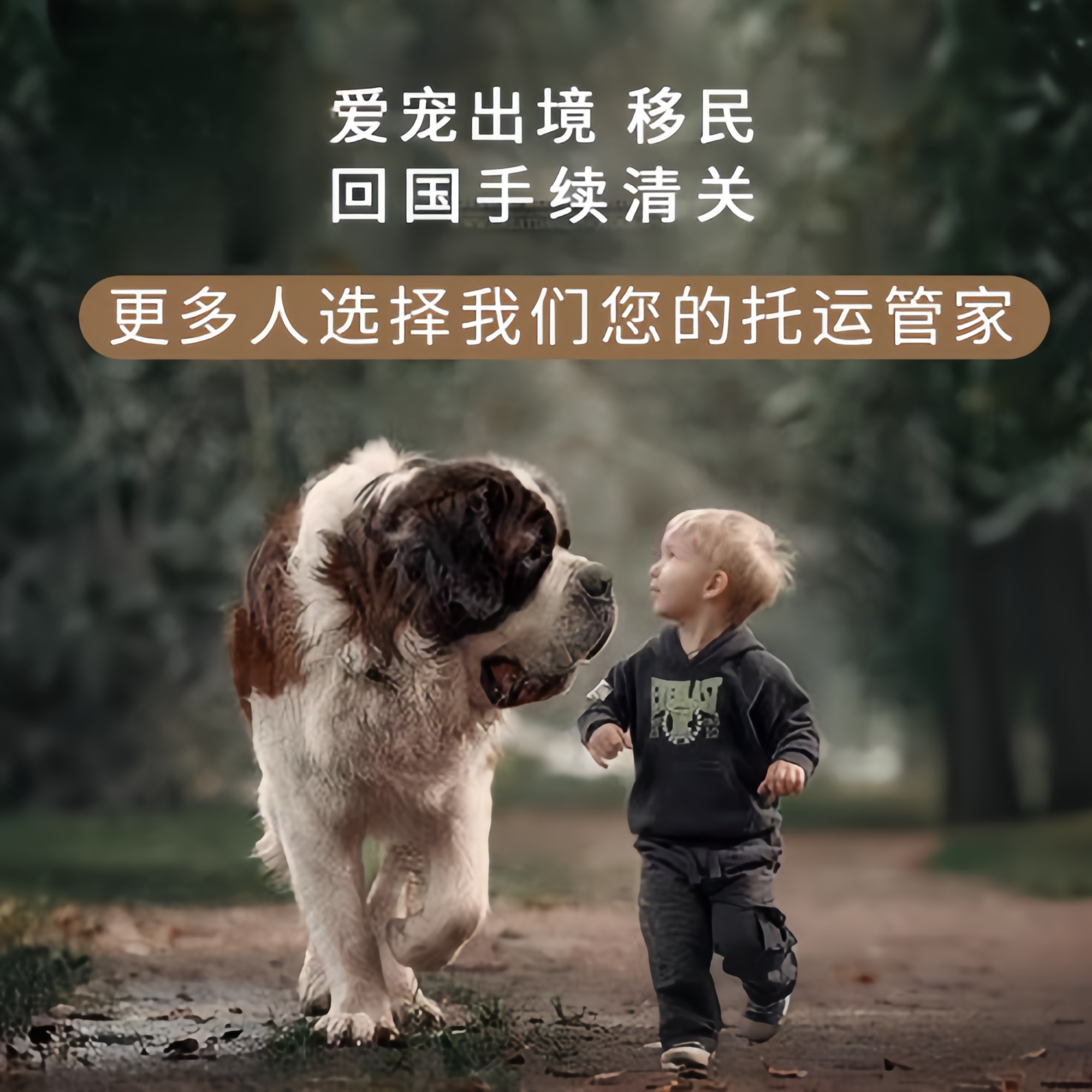 满财甘南州宠物全球达宠物托运在遵守入境目的地政策的条件