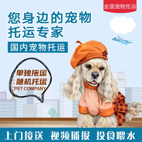 满财甘南州宠物全球达宠物托运作为专业的宠物运输代理机构